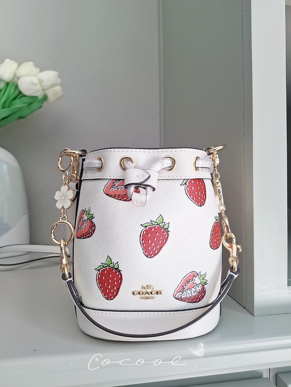 NEW COACH MINI BUCKET BAG WITH STRAWBERRY PRINT ( floral chains)